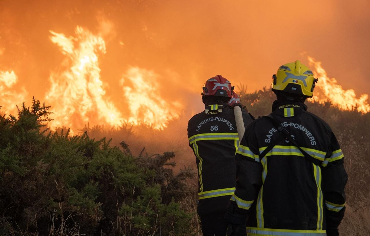 Canicule : l’extrême droite critique les Verts face aux conséquences du dérèglement climatique en France