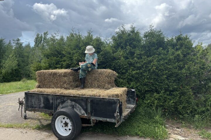 Carnets de fermettiers : la force de l’ennui dans un monde rural en transformation