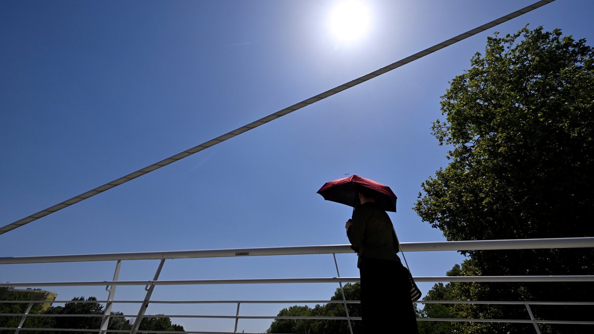 Chaleur persistante : les modèles météo peinent à prédire la fin de la canicule en France