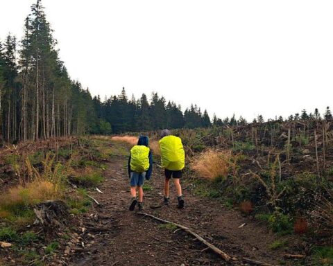 Chemins de Saint-Jacques : départ recommandé depuis Saint-Chamond via le GR7