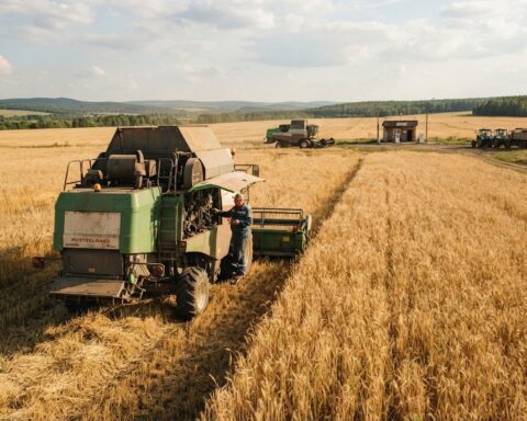 La Russie voit reculer sa production agricole et la rentabilité des exploitations