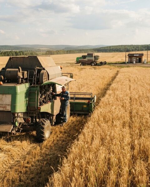 La Russie voit reculer sa production agricole et la rentabilité des exploitations