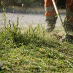 Débroussaillage économique : découvrez les aides insoupçonnées pour réduire vos coûts