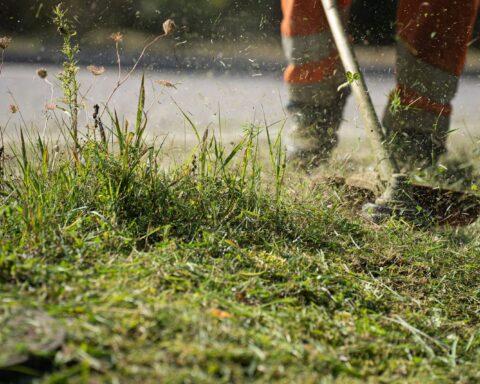 Débroussaillage économique : découvrez les aides insoupçonnées pour réduire vos coûts