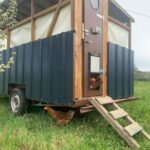 Des poules mobiles rénovent les vignes de Rabastens en enrichissant la terre et en chassant les insectes