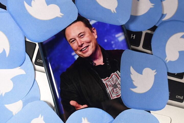 Elon Musk poursuit une startup qui veut relancer Twitter sous le nom d'Operation Bluebird