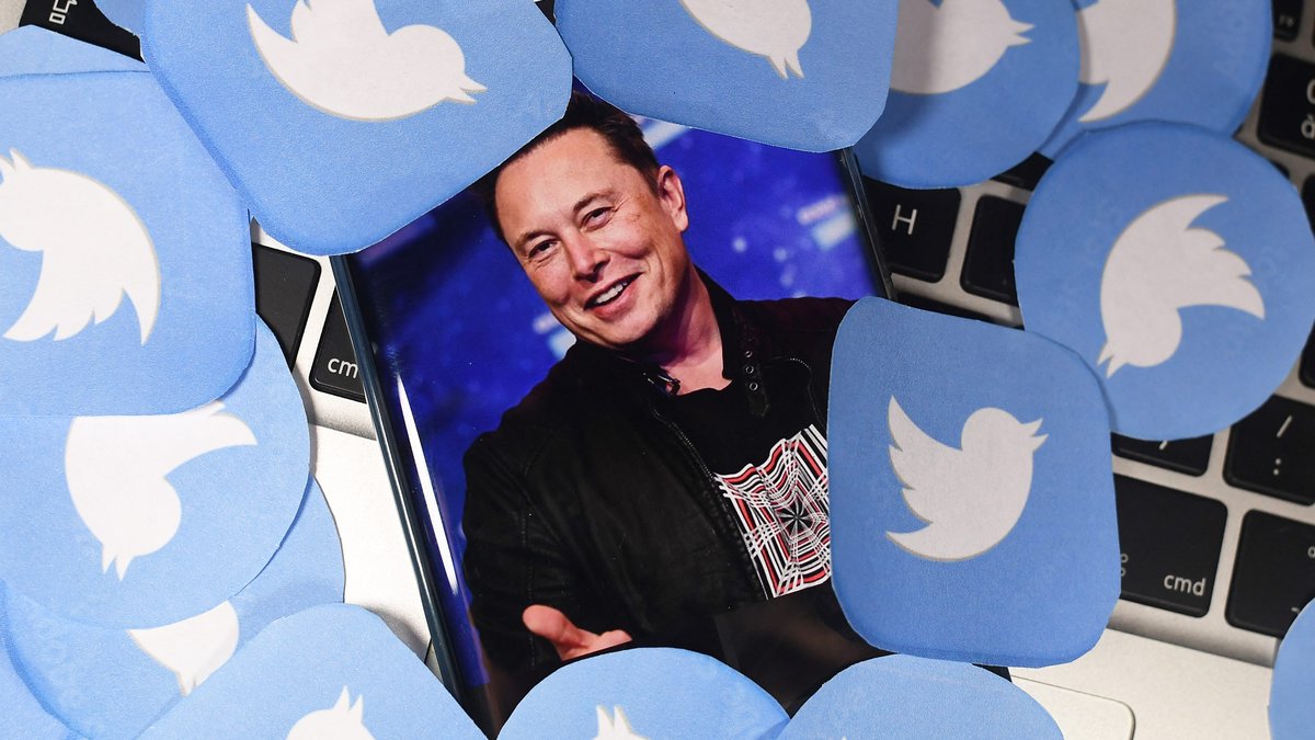 Elon Musk poursuit une startup qui veut relancer Twitter sous le nom d'Operation Bluebird