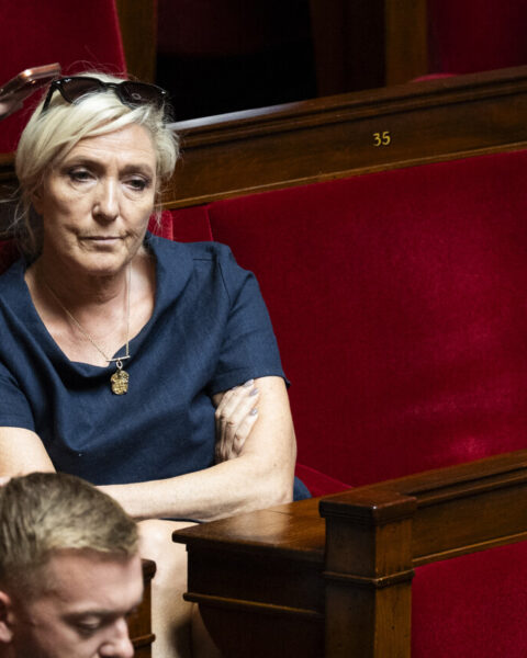 Elon Musk soutient Marine Le Pen : un soutien risqué pour la candidate présidentielle française