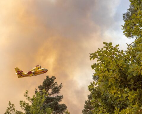 Incendie dans la Drôme : 370 hectares brûlés, quatre pompiers blessés dans la lutte contre le feu