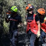 Incendie dans le Var : le feu stabilisé mais les pompiers continuent le combat