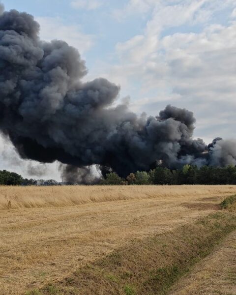 Incendie de sous-bois à Saint-Lys : 30 habitations menacées, 120 pompiers mobilisés