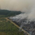 Incendie majeur en Belgique : près de 3 000 hectares brûlés, plus de 100 pompiers mobilisés