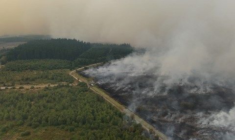 Incendie majeur en Belgique : près de 3 000 hectares brûlés, plus de 100 pompiers mobilisés