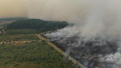 Incendie majeur en Belgique : près de 3 000 hectares brûlés, plus de 100 pompiers mobilisés