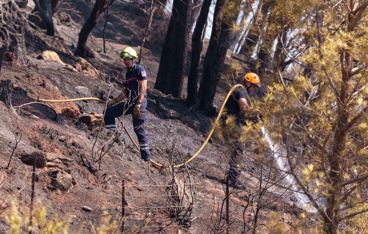 Incendies dans le Var et la Drôme : dix départements en vigilance orange canicule