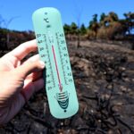 Juillet 2026, le mois le plus chaud de l'histoire, selon Météo-France