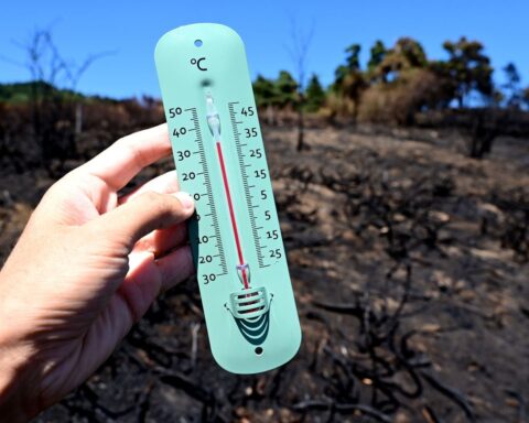 Juillet 2026, le mois le plus chaud de l'histoire, selon Météo-France