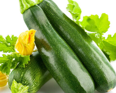 La courgette, un légume essentiel pour une alimentation saine en France
