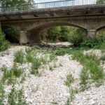 La France en proie à une sécheresse historique : 1.373 petits cours d'eau à sec en juillet