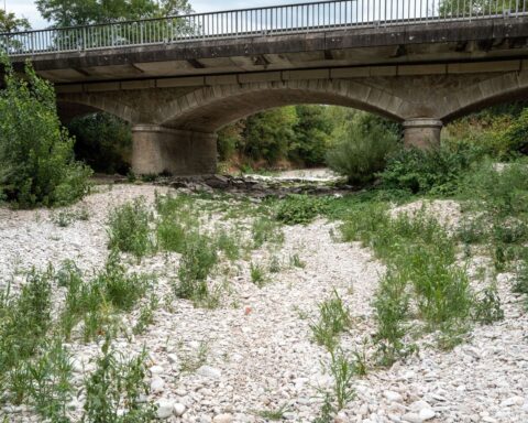 La France en proie à une sécheresse historique : 1.373 petits cours d'eau à sec en juillet