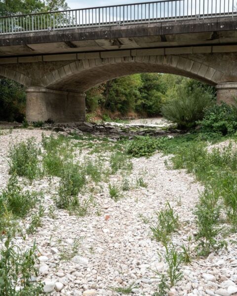 La France en proie à une sécheresse historique : 1.373 petits cours d'eau à sec en juillet