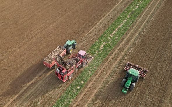 La France insoumise propose d'annuler la réintroduction de deux pesticides controversés