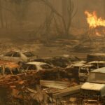 La France propose son aide à l'Algérie pour lutter contre les incendies meurtriers