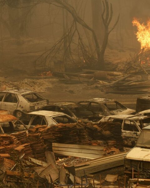 La France propose son aide à l'Algérie pour lutter contre les incendies meurtriers