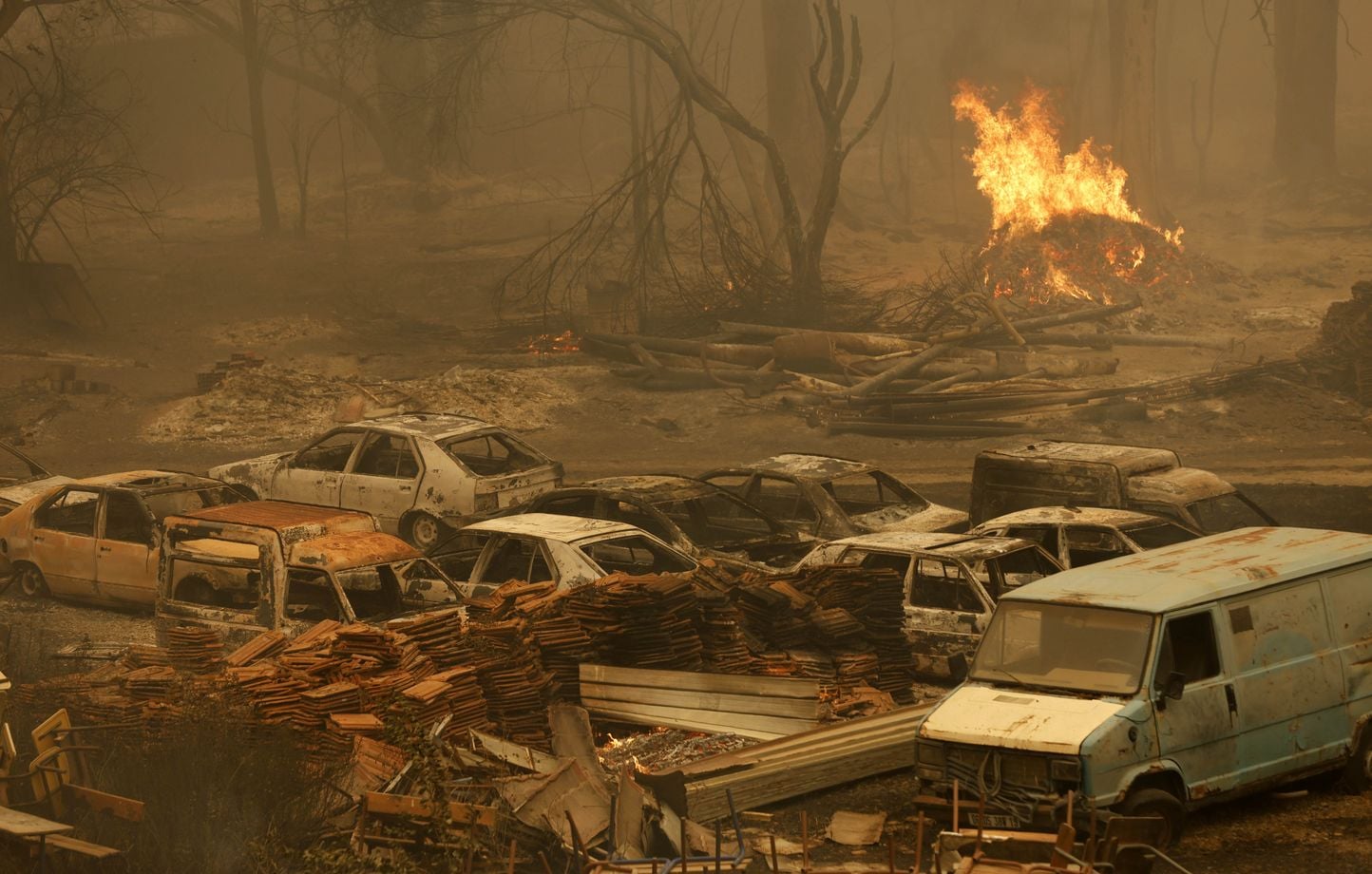 La France propose son aide à l'Algérie pour lutter contre les incendies meurtriers