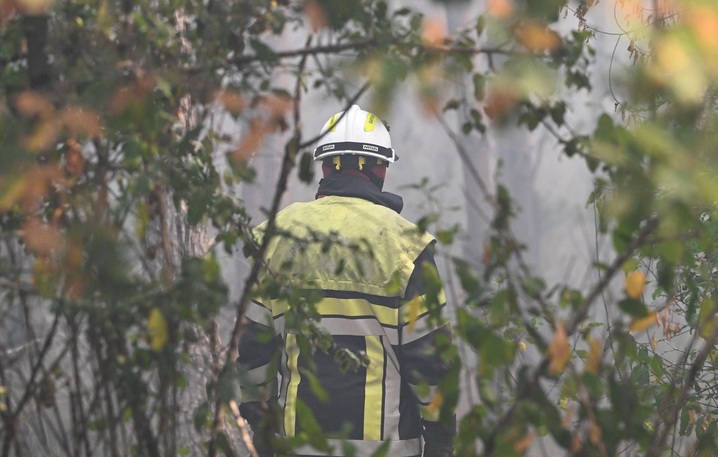Le feu de forêt dans la Drôme demeure « stable » mais « pas fixé » à 240 hectares brûlés