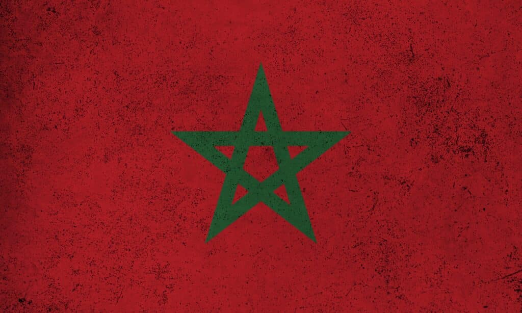 Le traité d'amitié franco-marocain : fondement d'une alliance économique pérenne.