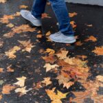 Les feuilles tombent à Paris : les arbres résistent à la sécheresse et aux canicules estivales