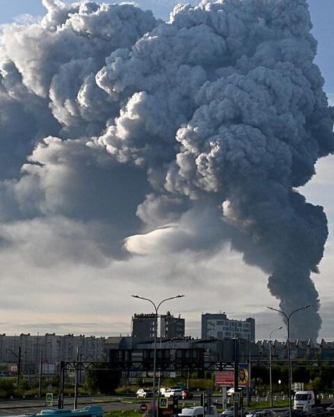 Pourquoi l'Ukraine cible-t-elle Wildberries, le 'Amazon' russe ?