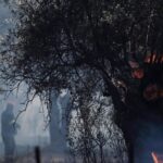 Près de 300 arrestations en Grèce liées aux incendies depuis le début de l’année