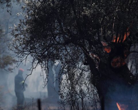 Près de 300 arrestations en Grèce liées aux incendies depuis le début de l’année