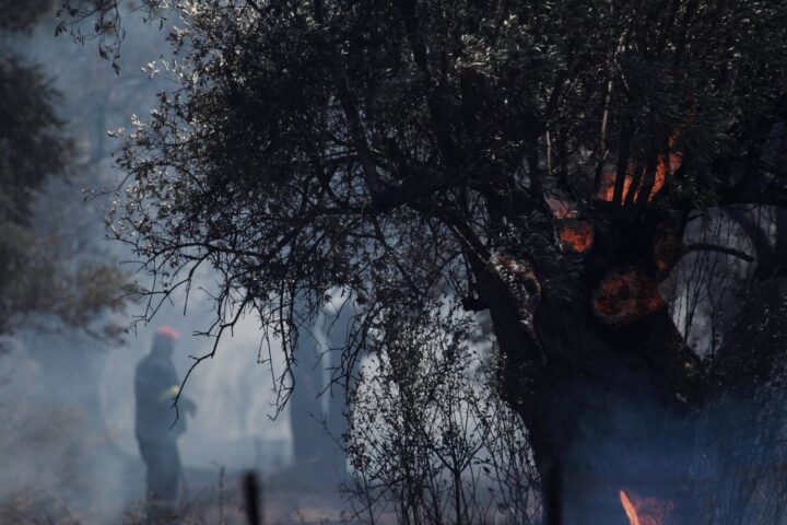 Près de 300 arrestations en Grèce liées aux incendies depuis le début de l’année