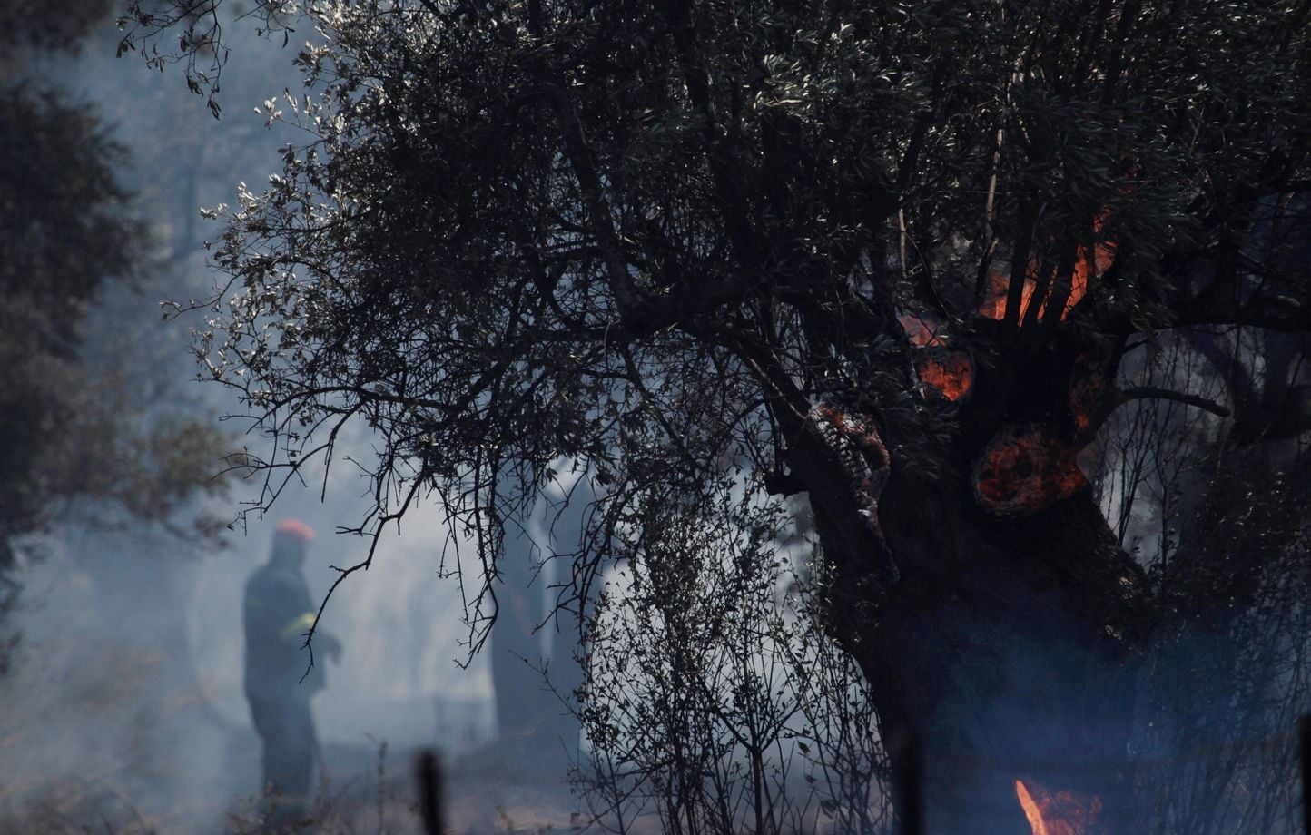 Près de 300 arrestations en Grèce liées aux incendies depuis le début de l’année