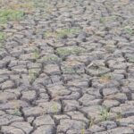 Pyrénées-Atlantiques : malgré la pluie, les rivières demeurent en situation de sécheresse