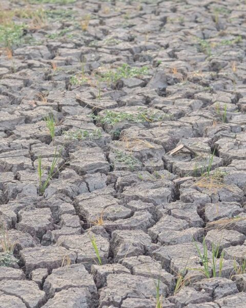 Pyrénées-Atlantiques : malgré la pluie, les rivières demeurent en situation de sécheresse