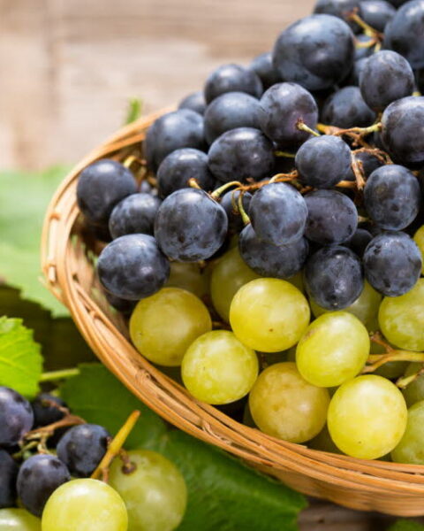 Rentrée : cinq aliments énergétiques pour bien commencer la nouvelle saison