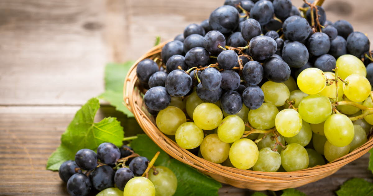 Rentrée : cinq aliments énergétiques pour bien commencer la nouvelle saison