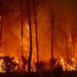 Sébastien Lecornu charge sept parlementaires d'élaborer de nouvelles mesures contre les feux de forêt