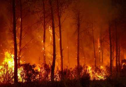 Sébastien Lecornu charge sept parlementaires d'élaborer de nouvelles mesures contre les feux de forêt