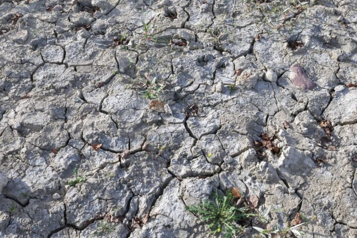 Sécheresse : 63 % des nappes phréatiques sous les normales au 1er août en France