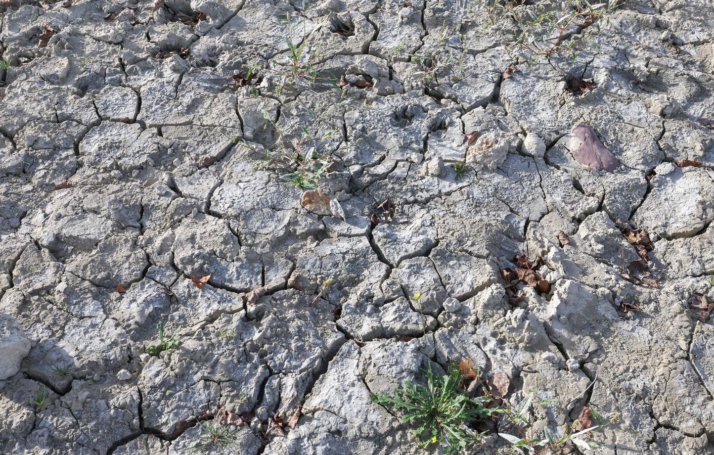 Sécheresse : 63 % des nappes phréatiques sous les normales au 1er août en France
