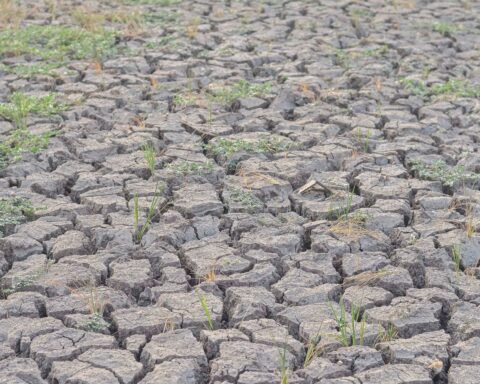 Sécheresse : 99 départements français soumis à des restrictions d’eau, situation critique pour 67 d'entre eux