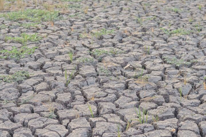 Sécheresse : 99 départements français soumis à des restrictions d’eau, situation critique pour 67 d'entre eux