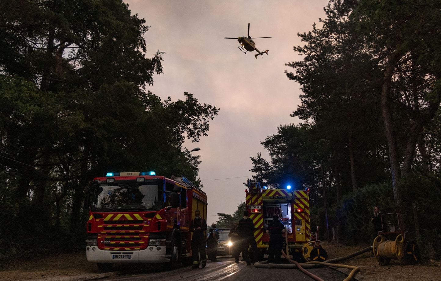 Seine-et-Marne : la forêt de Fontainebleau en alerte orange pour un risque élevé de feux