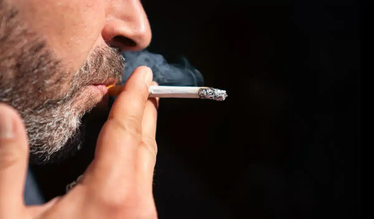 Tabac : une des marques les plus vendues en France réduit ses prix au 1er septembre, tandis que d'autres procèdent à des augmentations discrètes.
