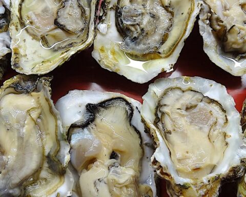 Un Américain souffre de lésions cérébrales après avoir consommé des huîtres dans un restaurant près de Chicago